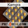 Kamgra cialis2